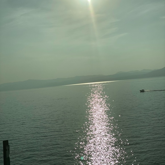 Meet your Posher, Michael - Picture 1 of 1